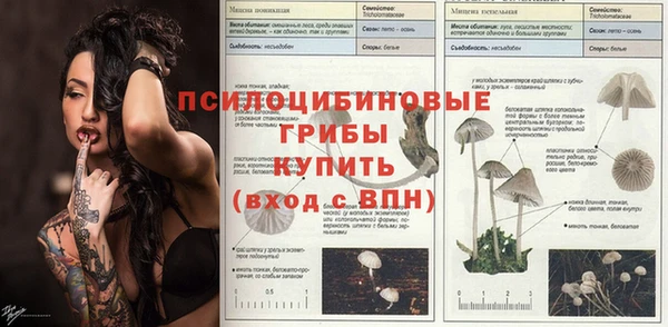 меф Балахна